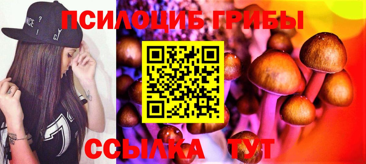 Псилоцибиновые грибы MAGIC MUSHROOMS  Вход с VPN  Тобольск  Псилоцибиновые грибы прущие грибы 
